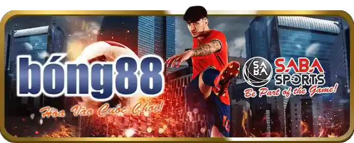 Đường dây nóng xn888